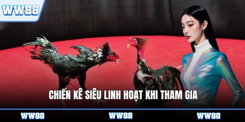 Chiến kê siêu linh hoạt khi tham gia