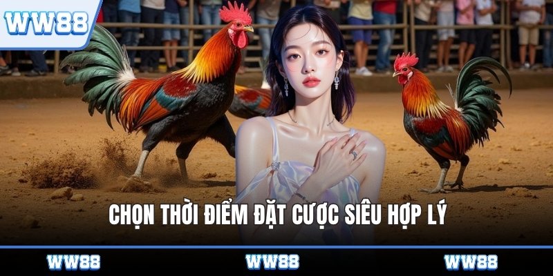 Chọn thời điểm đặt cược siêu hợp lý