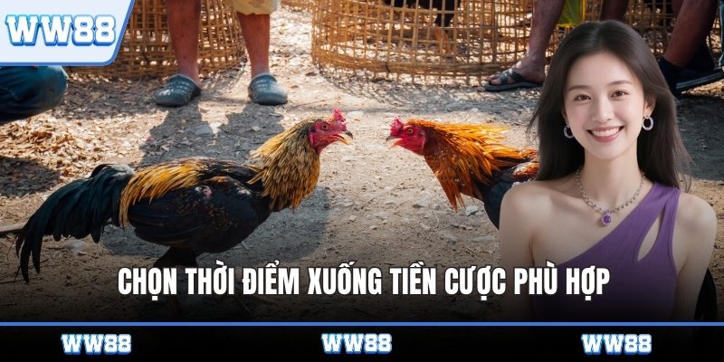Chọn thời điểm xuống tiền cược phù hợp