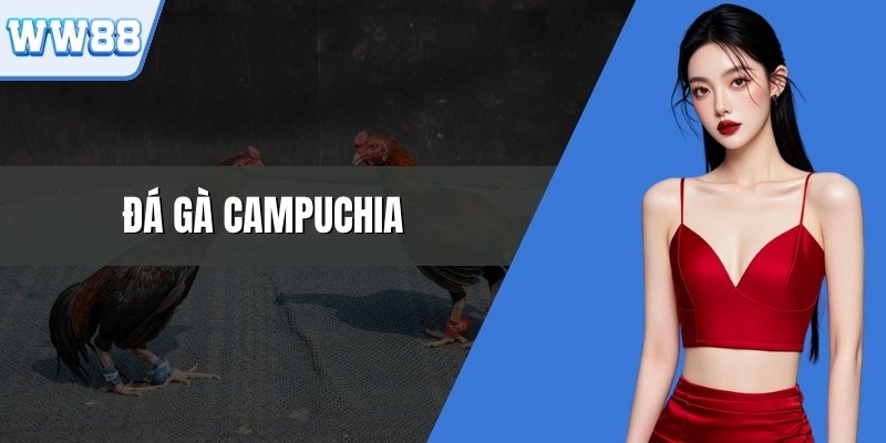 Đá Gà Campuchia