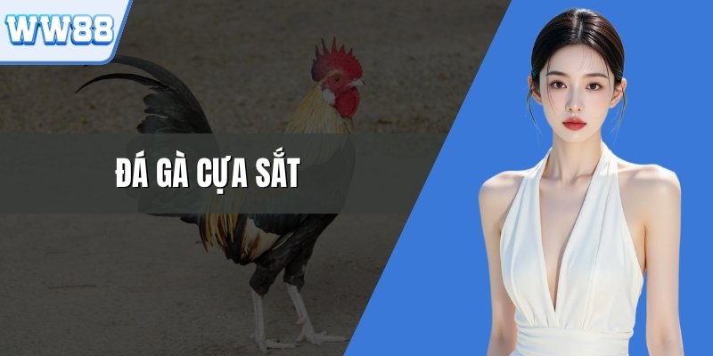 Đá Gà Cựa Sắt