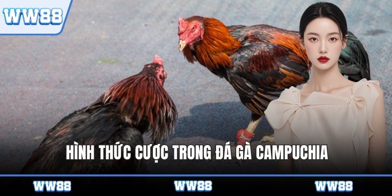 Hình thức cược trong đá gà Campuchia