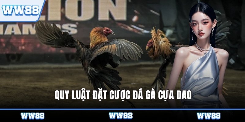 Quy luật đặt cược đá gà cựa dao