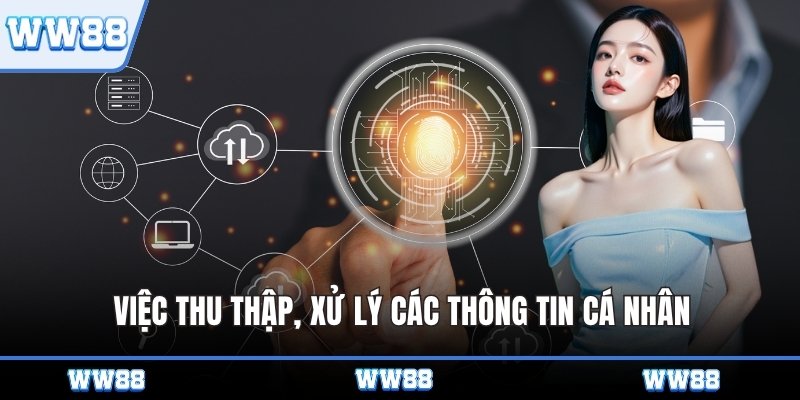 Việc thu thập, xử lý các thông tin cá nhân