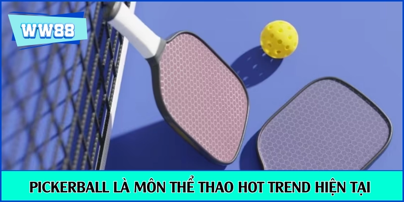 Giải đáp cơ bản Pickleball là gì